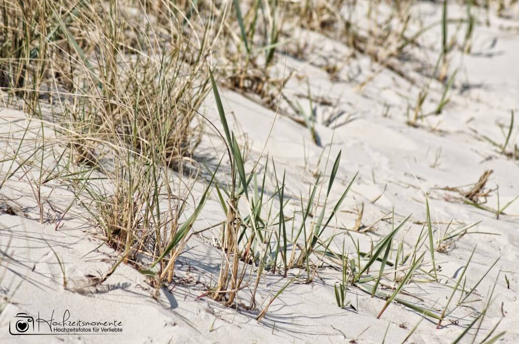 Hochzeitsfotograf Rostock