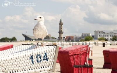 Heiraten im Standesamt Rostock