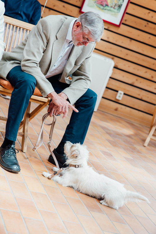 Hund bei der standesamtlichen Trauung.