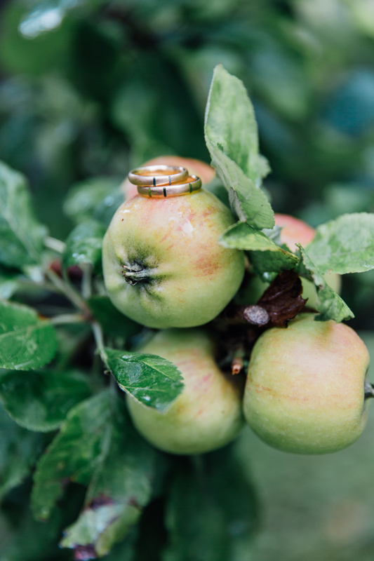 Hochzeitdetailfoto der Eheringe auf einem Apfel.