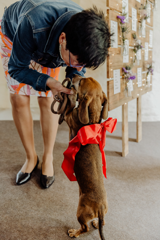 Hochzeit mit Hund.